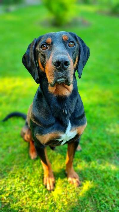 Was hat euch heute gefreut?-Beitrag-Bild