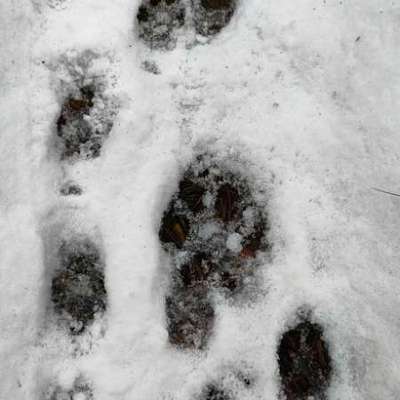 "Wege zur Freundschaft" (Ulli Reichmann)-Beitrag-Bild