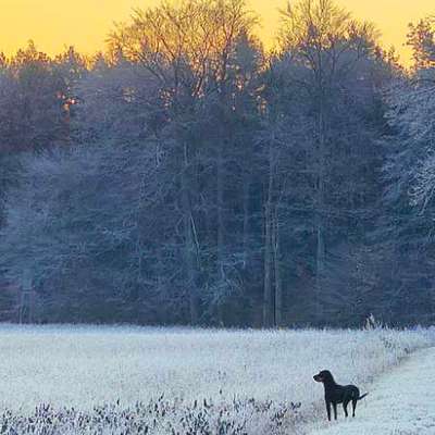 "Wege zur Freundschaft" (Ulli Reichmann)-Beitrag-Bild
