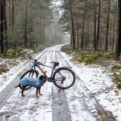 "Wege zur Freundschaft" (Ulli Reichmann)-Beitrag-Bild