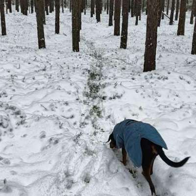 "Wege zur Freundschaft" (Ulli Reichmann)-Beitrag-Bild