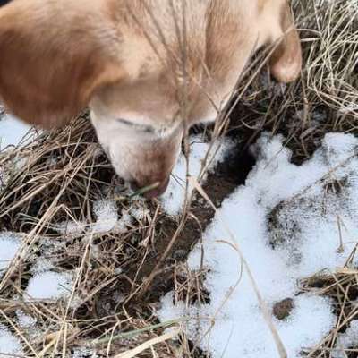 "Wege zur Freundschaft" (Ulli Reichmann)-Beitrag-Bild