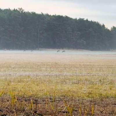 "Wege zur Freundschaft" (Ulli Reichmann)-Beitrag-Bild