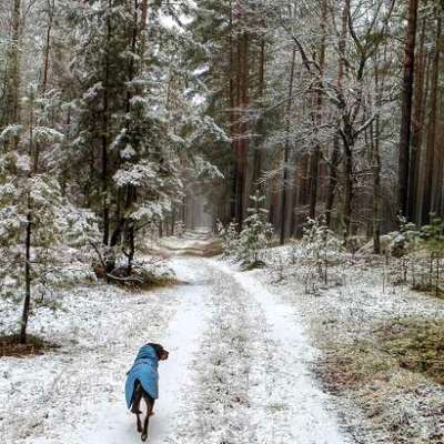 "Wege zur Freundschaft" (Ulli Reichmann)-Beitrag-Bild