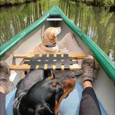 "Wege zur Freundschaft" (Ulli Reichmann)-Beitrag-Bild