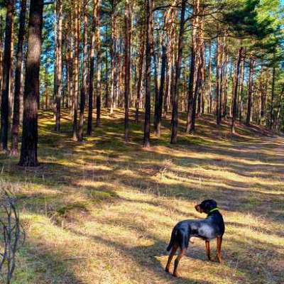 "Wege zur Freundschaft" (Ulli Reichmann)-Beitrag-Bild