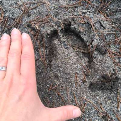 "Wege zur Freundschaft" (Ulli Reichmann)-Beitrag-Bild