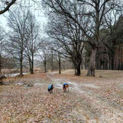 "Wege zur Freundschaft" (Ulli Reichmann)-Beitrag-Bild