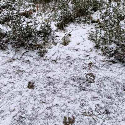 "Wege zur Freundschaft" (Ulli Reichmann)-Beitrag-Bild