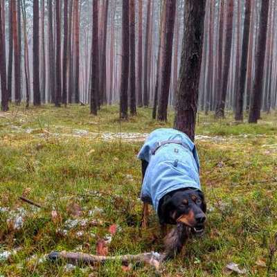 "Wege zur Freundschaft" (Ulli Reichmann)-Beitrag-Bild
