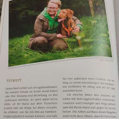 "Wege zur Freundschaft" (Ulli Reichmann)-Beitrag-Bild