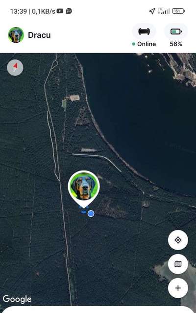 GPS Tracker-Beitrag-Bild