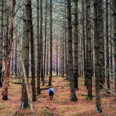 "Wege zur Freundschaft" (Ulli Reichmann)-Beitrag-Bild