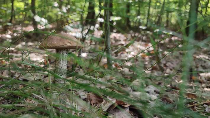 Was hat euch heute gefreut?-Beitrag-Bild