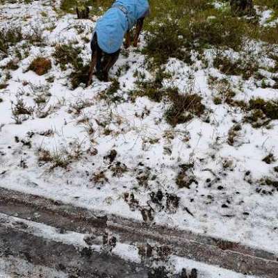 "Wege zur Freundschaft" (Ulli Reichmann)-Beitrag-Bild