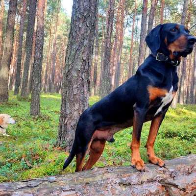 "Wege zur Freundschaft" (Ulli Reichmann)-Beitrag-Bild