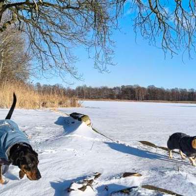 "Wege zur Freundschaft" (Ulli Reichmann)-Beitrag-Bild