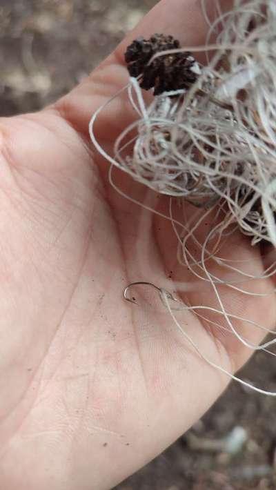 Was hat euch heute genervt?-Beitrag-Bild