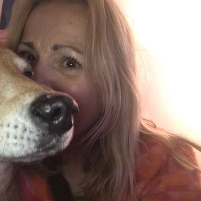 Hundetreffen-Morgenspaziergänge-Profilbild