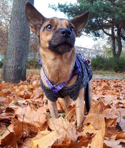 FOTOCHALLENGE 86-Beitrag-Bild