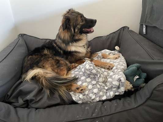 Angst gegenüber Partner-Beitrag-Bild