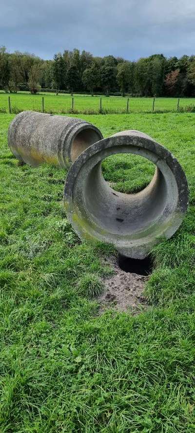 Hundeauslaufgebiet-Hundewiese Bergkamen-Bild