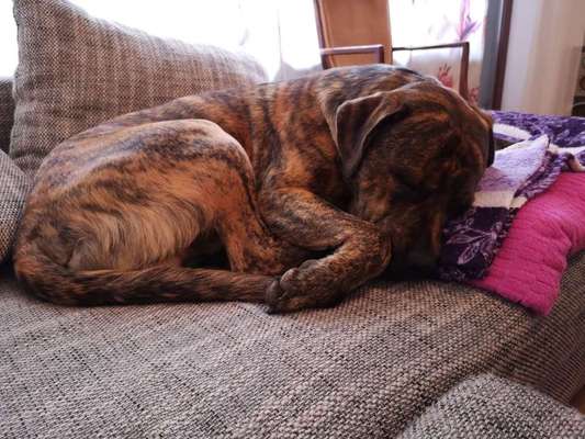 Schlafposition-Beitrag-Bild