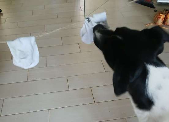 Kleine Übungseinheiten-Beitrag-Bild