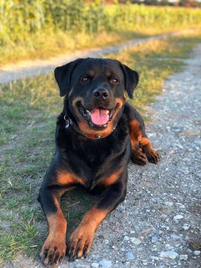 Fotochallange Nr. 57     PORTRÄT.   Beendet!!!!!!!!-Beitrag-Bild