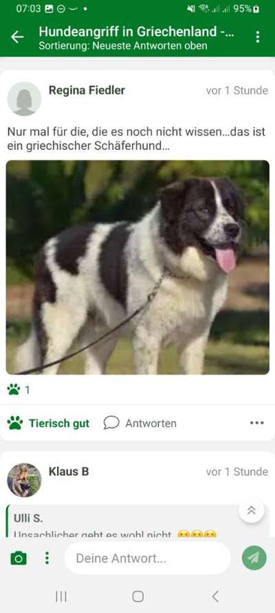 Hundeangriff in Griechenland - wie verhindern, vorbeugen?-Beitrag-Bild