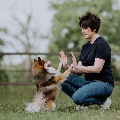 Hundeschulen-TrustyPAWtner Isabelle Aghte-Bild