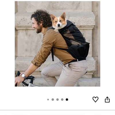 Hunderucksack-Beitrag-Bild