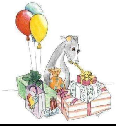 Windhunde - Treffen der besonderen Schönheiten
HERZLICH WILLKOMMEN-Beitrag-Bild