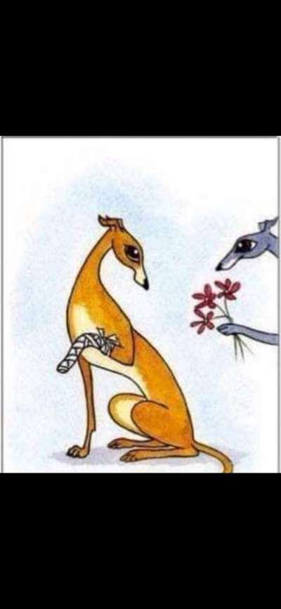 Windhunde - Treffen der besonderen Schönheiten
HERZLICH WILLKOMMEN-Beitrag-Bild