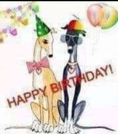 Windhunde - Treffen der besonderen Schönheiten
HERZLICH WILLKOMMEN-Beitrag-Bild