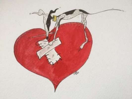 Windhunde - Treffen der besonderen Schönheiten
HERZLICH WILLKOMMEN-Beitrag-Bild