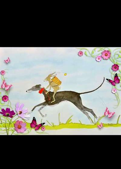 Windhunde - Treffen der besonderen Schönheiten
HERZLICH WILLKOMMEN-Beitrag-Bild