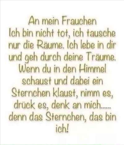Windhunde - Treffen der besonderen Schönheiten
HERZLICH WILLKOMMEN-Beitrag-Bild