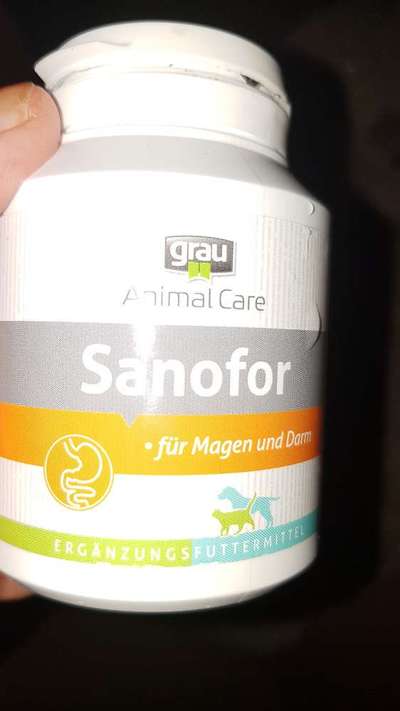 Windhunde - Treffen der besonderen Schönheiten
HERZLICH WILLKOMMEN-Beitrag-Bild