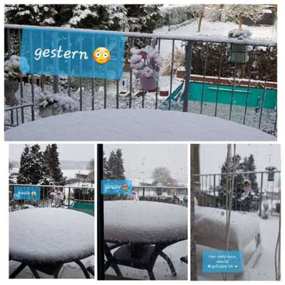 Windhunde - Treffen der besonderen Schönheiten
HERZLICH WILLKOMMEN-Beitrag-Bild