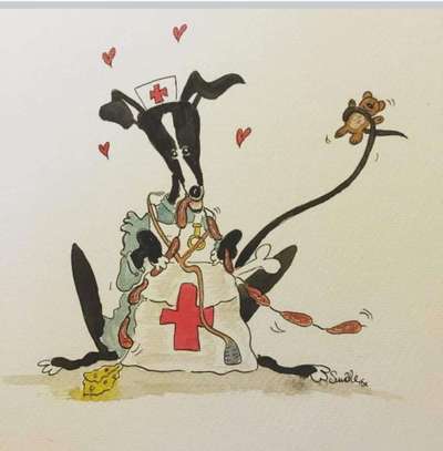 Windhunde - Treffen der besonderen Schönheiten
HERZLICH WILLKOMMEN-Beitrag-Bild