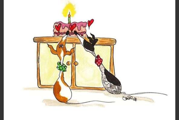 Windhunde - Treffen der besonderen Schönheiten
HERZLICH WILLKOMMEN-Beitrag-Bild