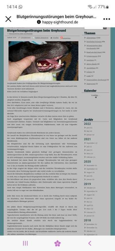 Windhunde - Treffen der besonderen Schönheiten
HERZLICH WILLKOMMEN-Beitrag-Bild