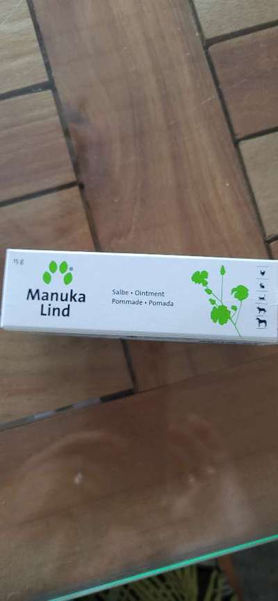 Windhunde - Treffen der besonderen Schönheiten
HERZLICH WILLKOMMEN-Beitrag-Bild