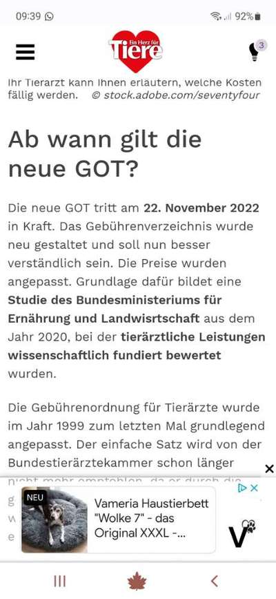 Windhunde - Treffen der besonderen Schönheiten
HERZLICH WILLKOMMEN-Beitrag-Bild