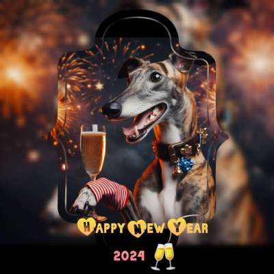 Windhunde - Treffen der besonderen Schönheiten
HERZLICH WILLKOMMEN-Beitrag-Bild