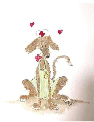 Windhunde - Treffen der besonderen Schönheiten
HERZLICH WILLKOMMEN-Beitrag-Bild