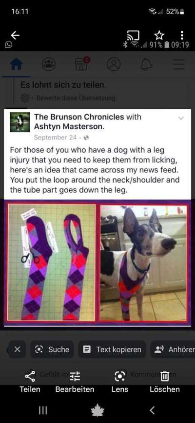 Windhunde - Treffen der besonderen Schönheiten
HERZLICH WILLKOMMEN-Beitrag-Bild