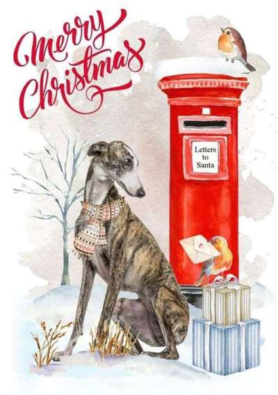 Windhunde - Treffen der besonderen Schönheiten
HERZLICH WILLKOMMEN-Beitrag-Bild