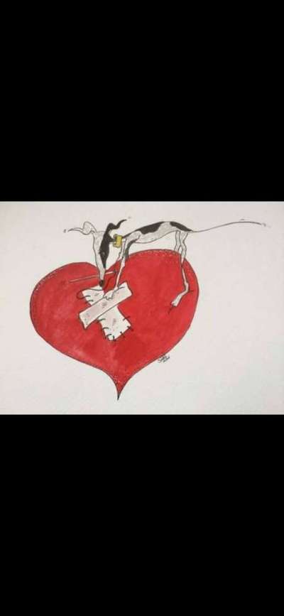 Windhunde - Treffen der besonderen Schönheiten
HERZLICH WILLKOMMEN-Beitrag-Bild